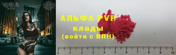 mdpv Бородино