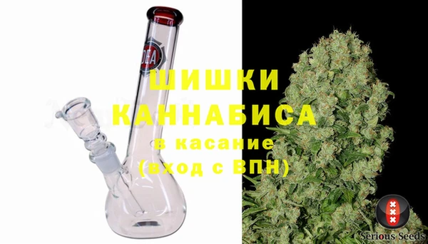 эйфоретик Богданович