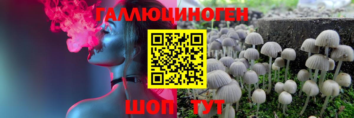 Псилоцибиновые грибы GOLDEN TEACHER Обь